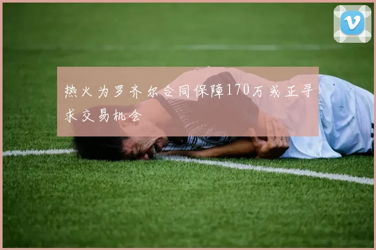 热火为罗齐尔合同保障170万或正寻求交易机会